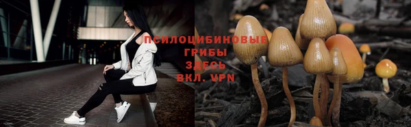 соль ск Баксан